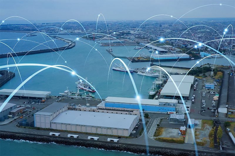 Supply Chain